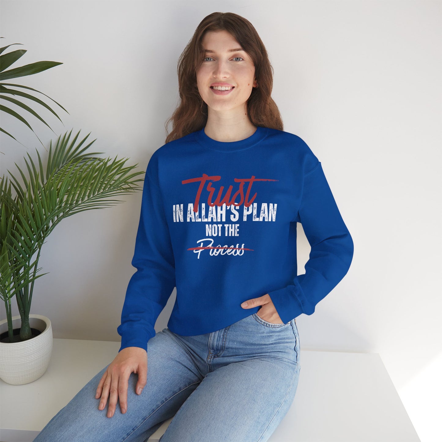 Trust in Allah's Plan Not The Process Typographic Sweatshirt - Tawakkul Cozy Soft Cotton Unisex Sweatshirt