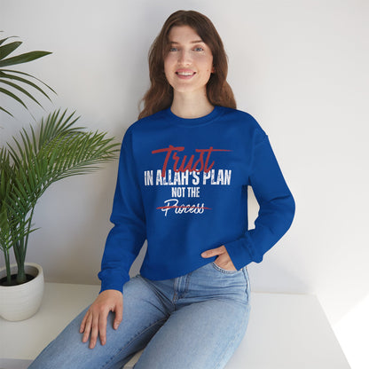 Trust in Allah's Plan Not The Process Typographic Sweatshirt - Tawakkul Cozy Soft Cotton Unisex Sweatshirt
