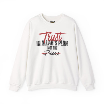 Trust in Allah's Plan Not The Process Typographic Sweatshirt - Tawakkul Cozy Soft Cotton Unisex Sweatshirt