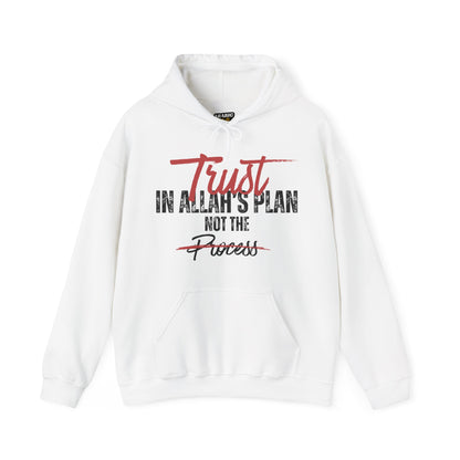 Trust in Allah's Plan Not The Process Typographic Hoodie - Tawakkul Cozy Soft Cotton Unisex Hoodie