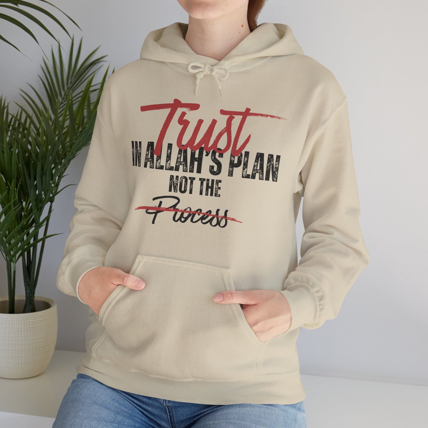 Trust in Allah's Plan Not The Process Typographic Hoodie - Tawakkul Cozy Soft Cotton Unisex Hoodie