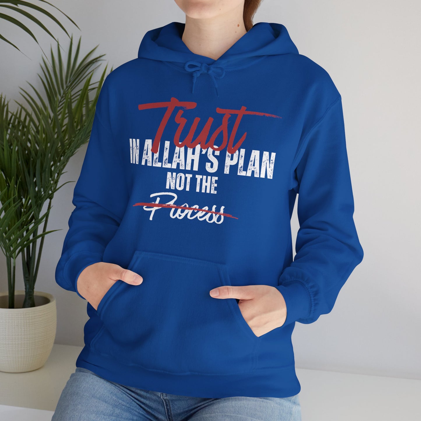 Trust in Allah's Plan Not The Process Typographic Hoodie - Tawakkul Cozy Soft Cotton Unisex Hoodie