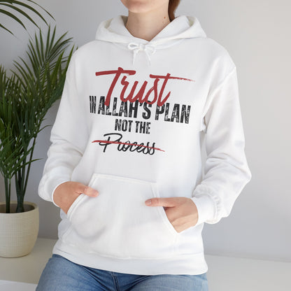 Trust in Allah's Plan Not The Process Typographic Hoodie - Tawakkul Cozy Soft Cotton Unisex Hoodie