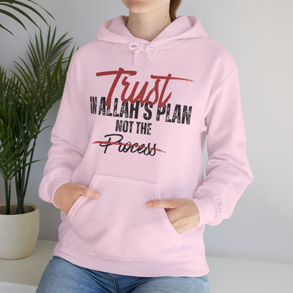 Trust in Allah's Plan Not The Process Typographic Hoodie - Tawakkul Cozy Soft Cotton Unisex Hoodie