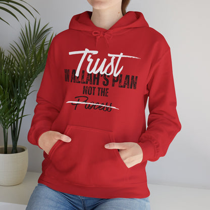 Trust in Allah's Plan Not The Process Typographic Hoodie - Tawakkul Cozy Soft Cotton Unisex Hoodie
