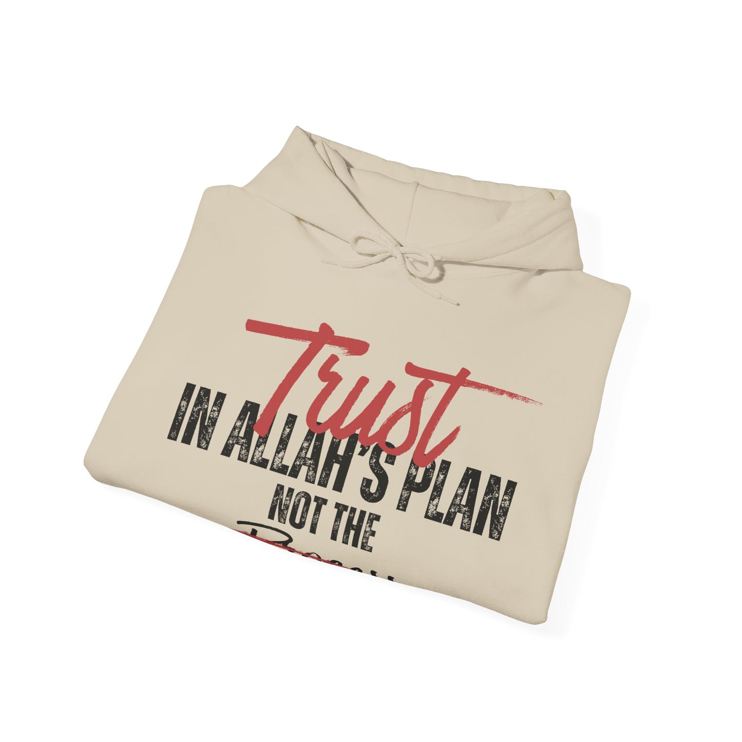 Trust in Allah's Plan Not The Process Typographic Hoodie - Tawakkul Cozy Soft Cotton Unisex Hoodie