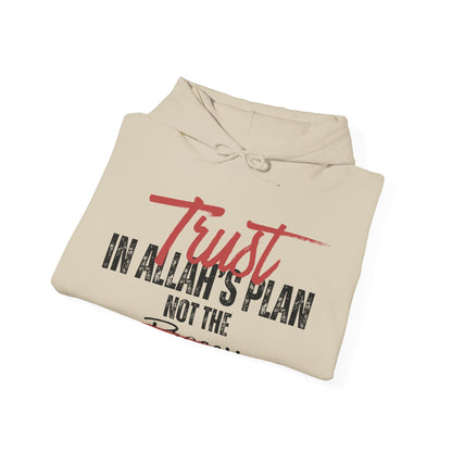 Trust in Allah's Plan Not The Process Typographic Hoodie - Tawakkul Cozy Soft Cotton Unisex Hoodie