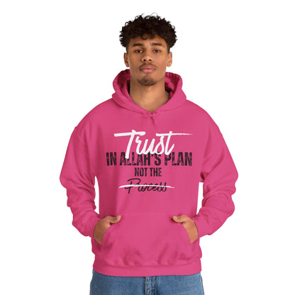 Trust in Allah's Plan Not The Process Typographic Hoodie - Tawakkul Cozy Soft Cotton Unisex Hoodie