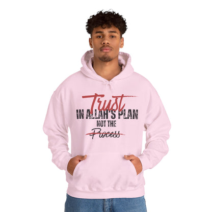Trust in Allah's Plan Not The Process Typographic Hoodie - Tawakkul Cozy Soft Cotton Unisex Hoodie