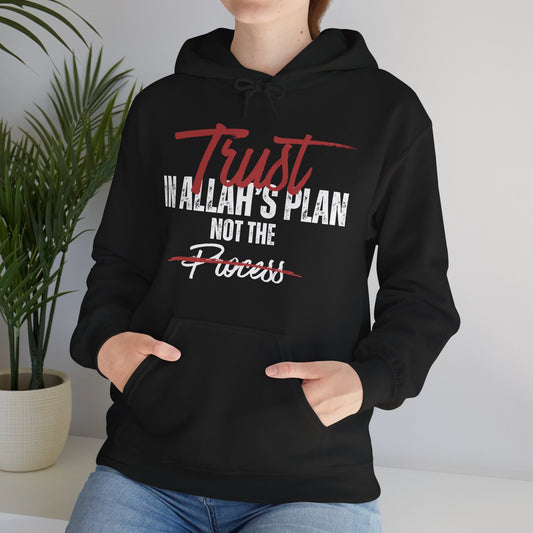 Trust in Allah's Plan Not The Process Typographic Hoodie - Tawakkul Cozy Soft Cotton Unisex Hoodie