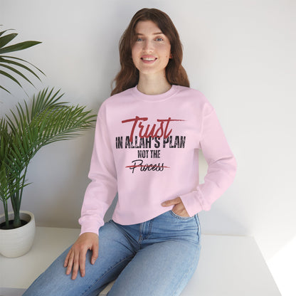 Trust in Allah's Plan Not The Process Typographic Sweatshirt - Tawakkul Cozy Soft Cotton Unisex Sweatshirt